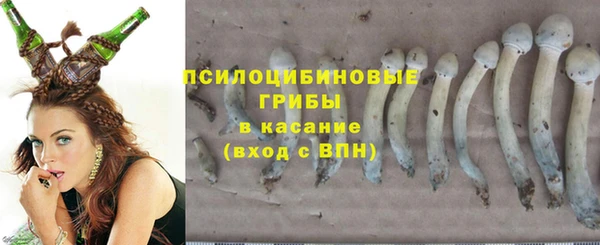 стафф Гусь-Хрустальный