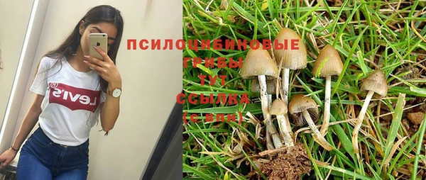 стафф Гусь-Хрустальный