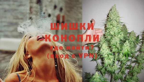 кокс Дмитровск