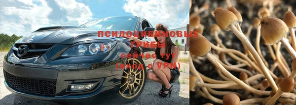 героин Гусев